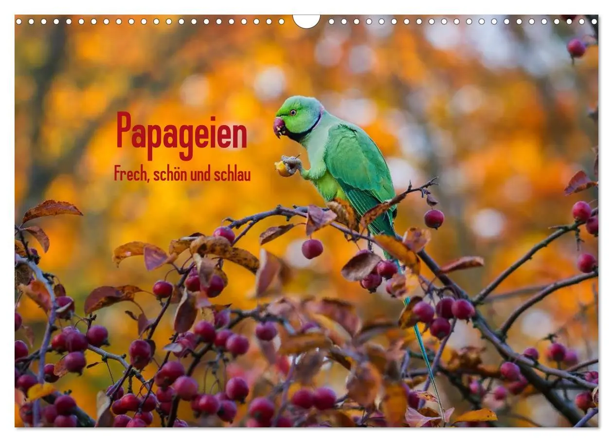 Cover: 9783457958445 | Papageien - Frech, schön und schlau (Wandkalender 2026 DIN A3...
