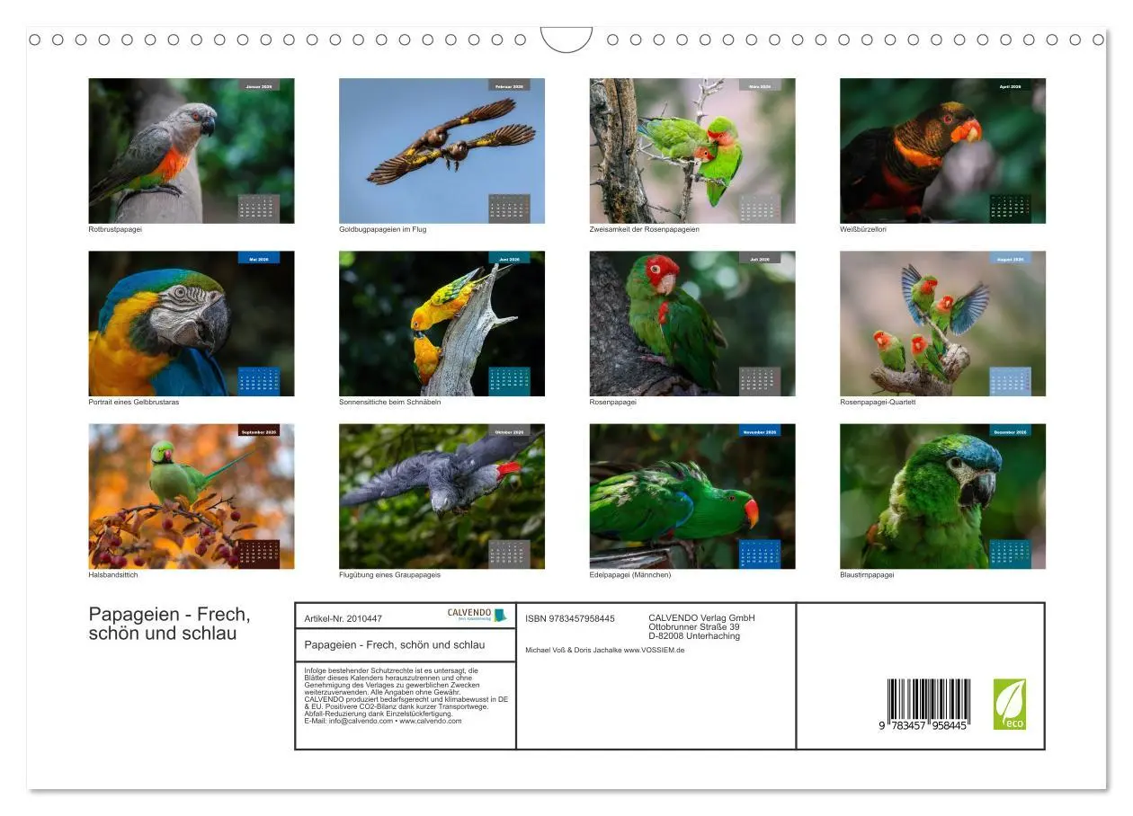 Bild: 9783457958445 | Papageien - Frech, schön und schlau (Wandkalender 2026 DIN A3...