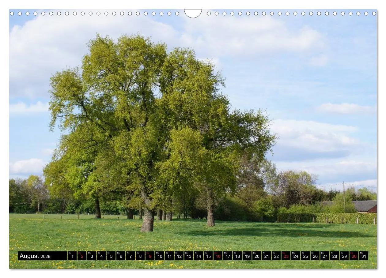 Bild: 9783457948545 | Malerischer Niederrhein (Wandkalender 2026 DIN A3 quer), CALVENDO...