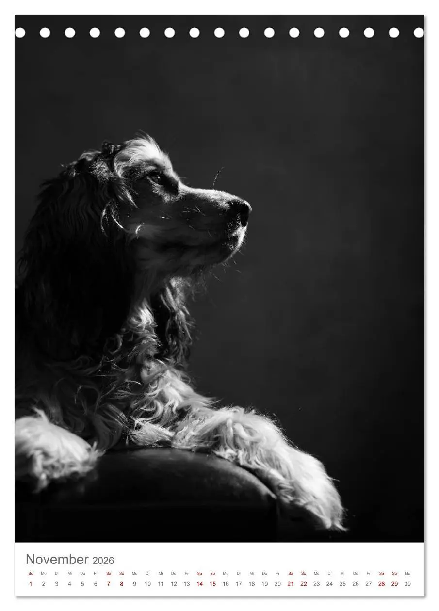 Bild: 9783516418545 | Fine Art Hundeportraits (Tischkalender 2026 DIN A5 hoch), CALVENDO...