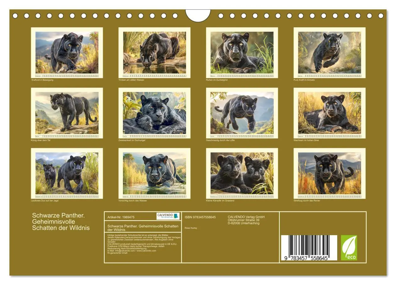 Bild: 9783457558645 | Schwarze Panther. Geheimnisvolle Schatten der Wildnis (Wandkalender...
