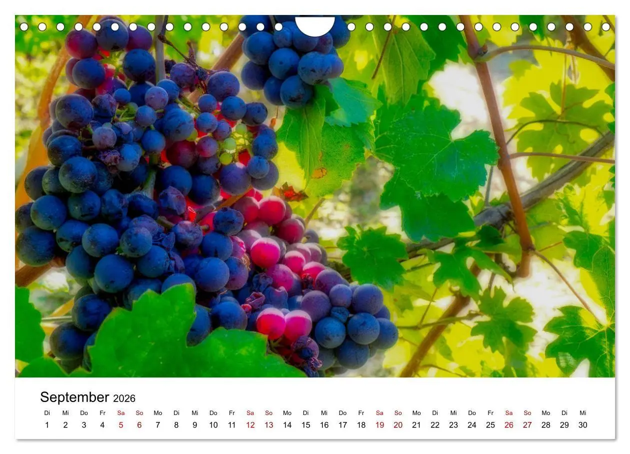 Bild: 9783457938645 | Piemont und Turin (Wandkalender 2026 DIN A4 quer), CALVENDO...