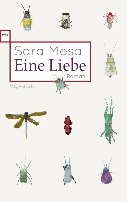 Cover: 9783803128645 | Eine Liebe | Sara Mesa | Taschenbuch | 192 S. | Deutsch | 2023