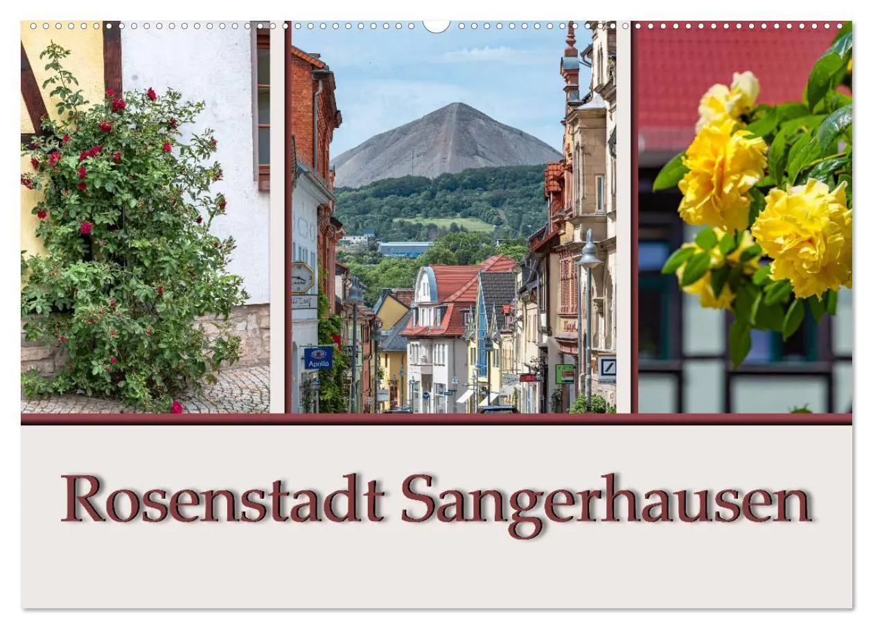 Cover: 9783457788745 | Rosenstadt Sangerhausen (Wandkalender 2026 DIN A2 quer), CALVENDO...