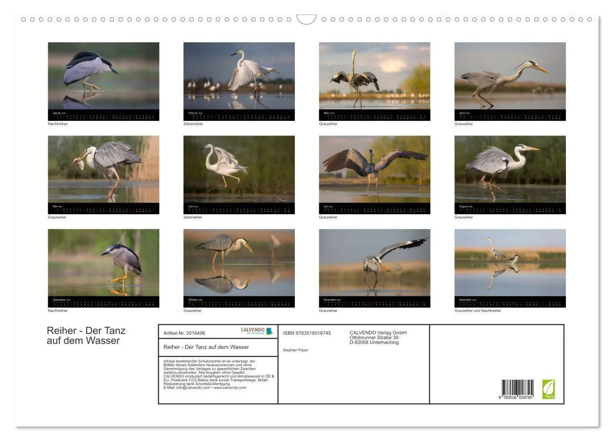 Bild: 9783516018745 | Reiher - Der Tanz auf dem Wasser (Wandkalender 2026 DIN A2 quer),...