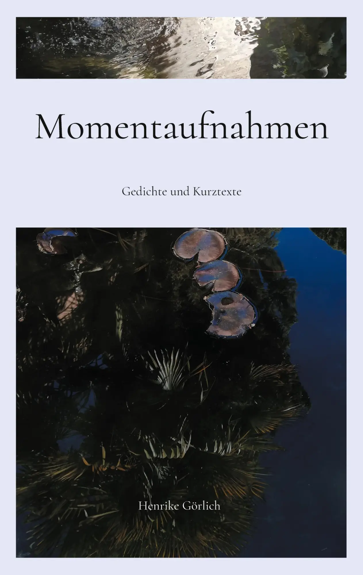 Momentaufnahmen: Gedichte und Kurztexte