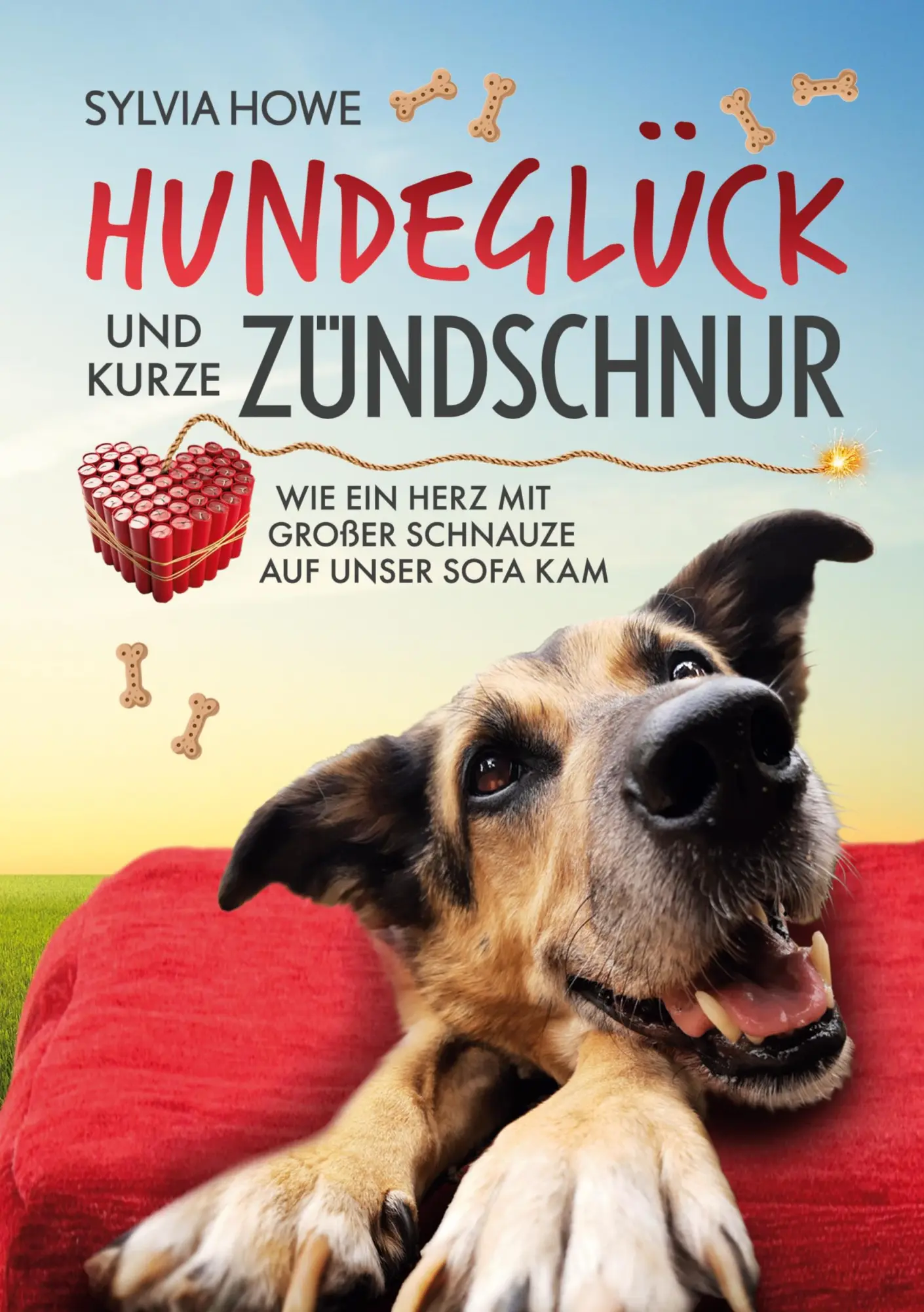Cover: 9783819298745 | Hundeglück und kurze Zündschnur | Sylvia Howe | Taschenbuch | 258 S.