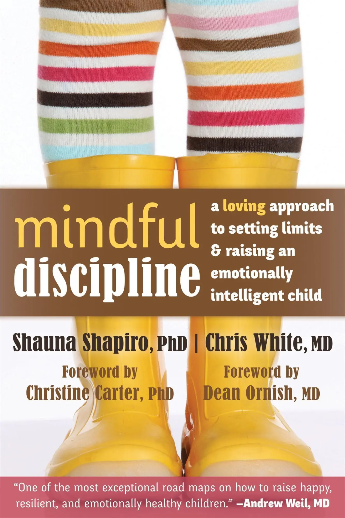 Cover: 9781608828845 | Mindful Discipline | Shauna Shapiro (u. a.) | Taschenbuch | Englisch