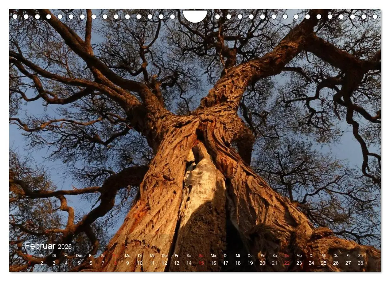 Bild: 9783516168945 | Zimbabwe (Wandkalender 2026 DIN A4 quer), CALVENDO Monatskalender