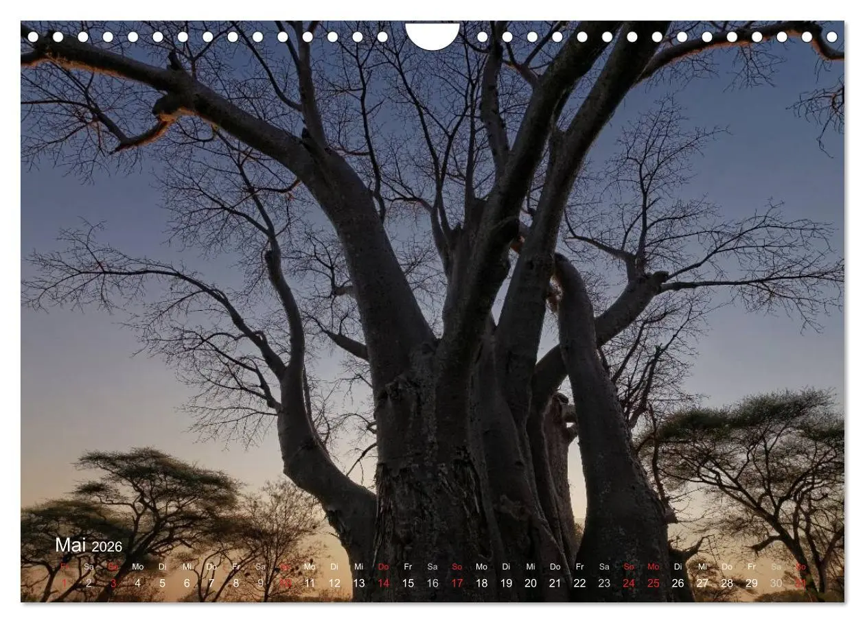 Bild: 9783516168945 | Zimbabwe (Wandkalender 2026 DIN A4 quer), CALVENDO Monatskalender