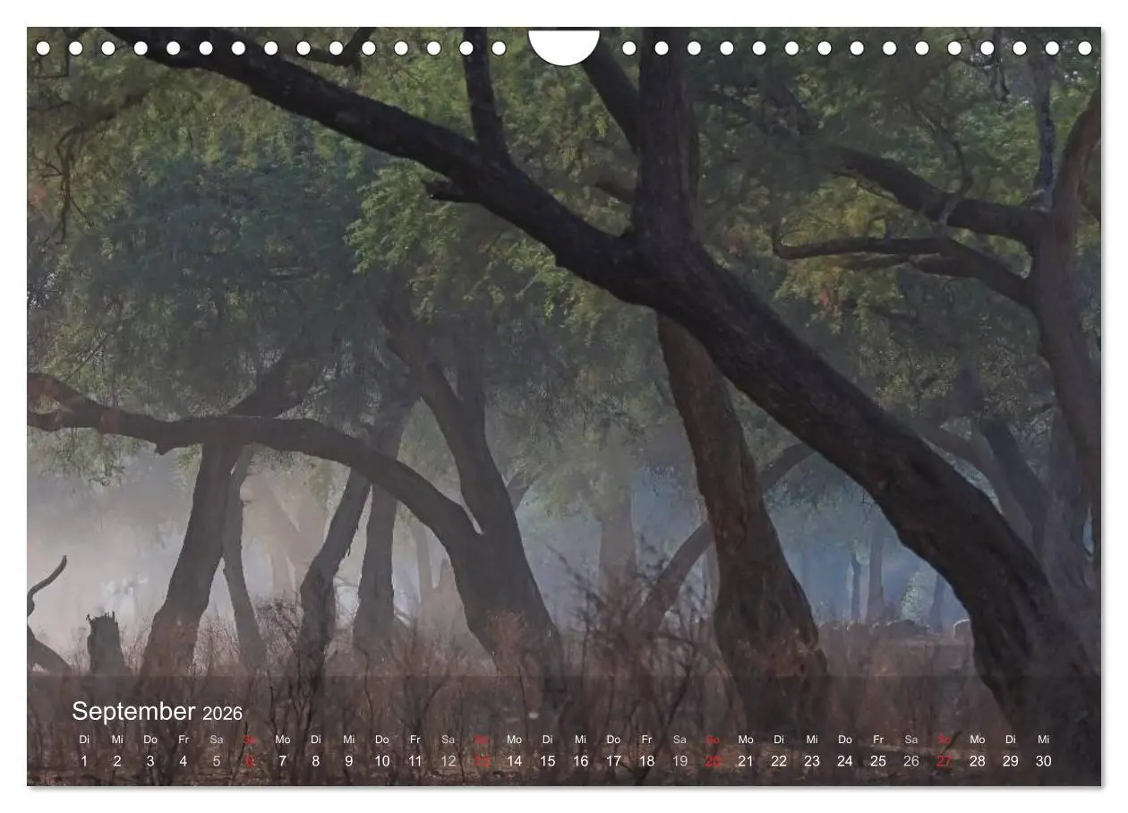 Bild: 9783516168945 | Zimbabwe (Wandkalender 2026 DIN A4 quer), CALVENDO Monatskalender