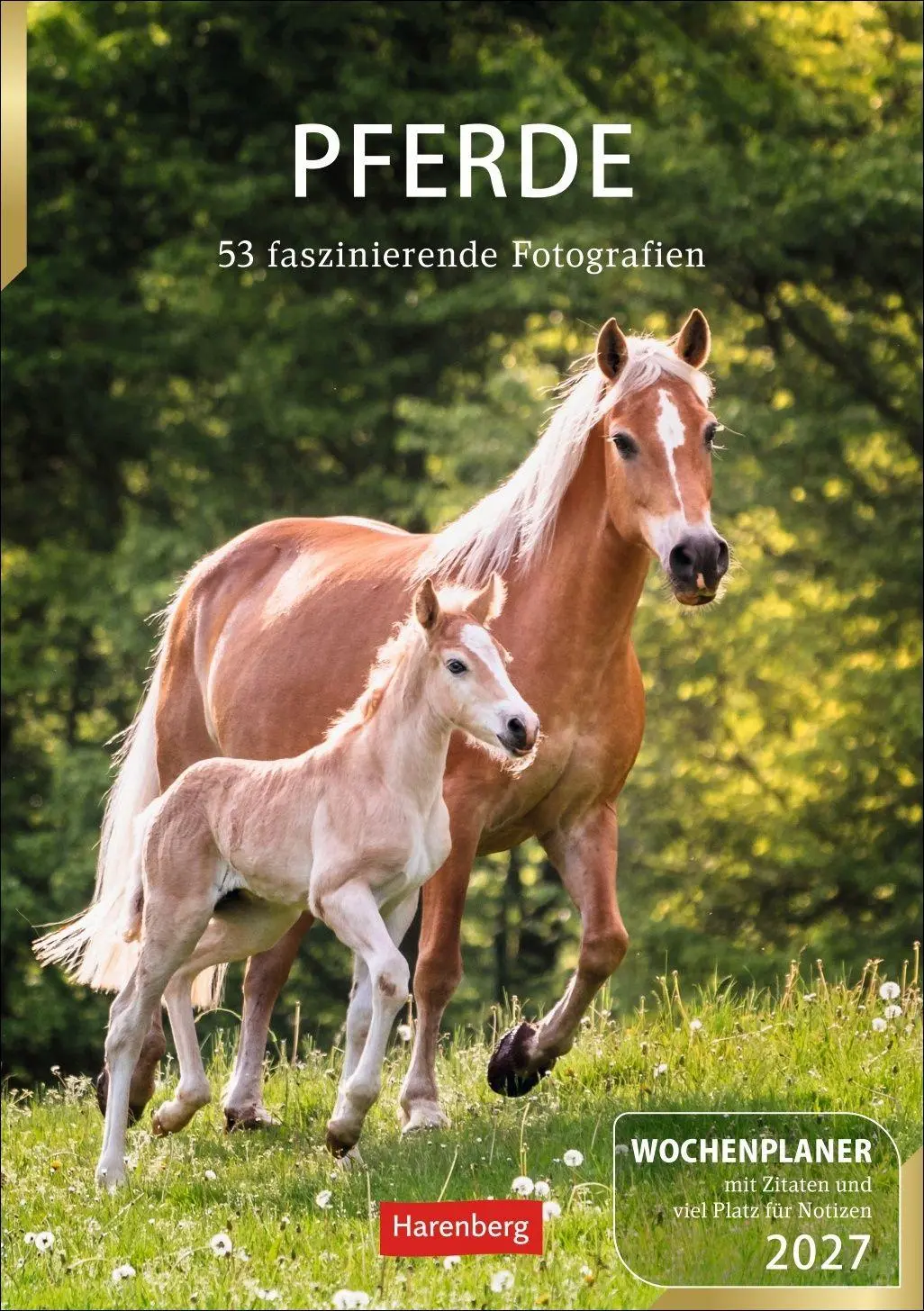 Cover: 9783840038945 | Pferde Wochenplaner 2027 - 53 faszinierende Fotografien | Slawik