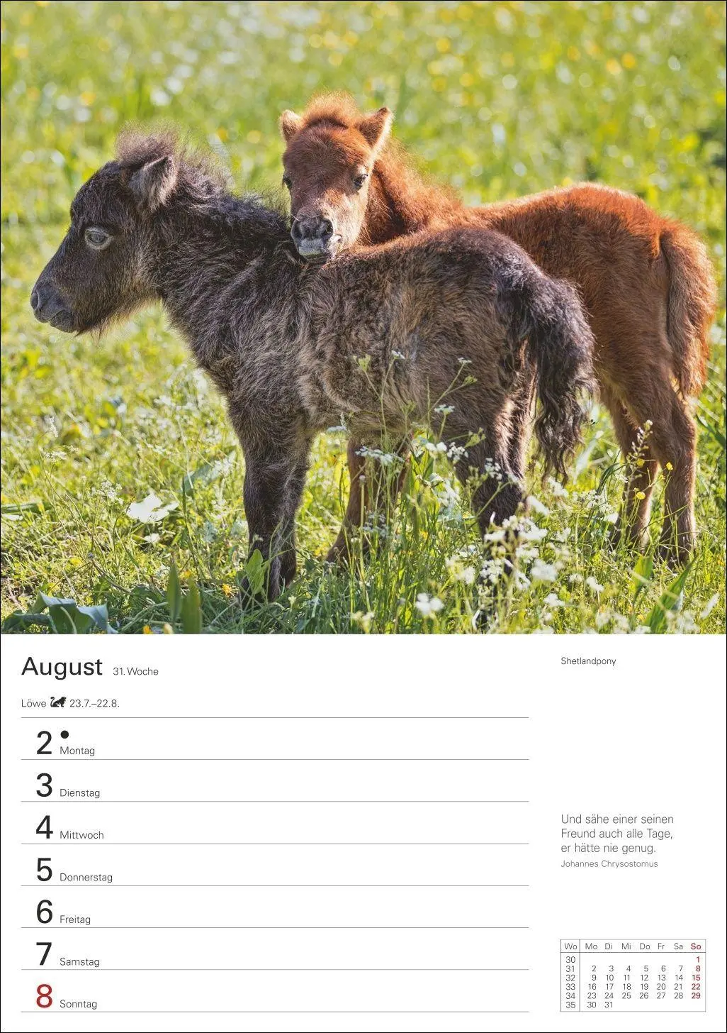 Bild: 9783840038945 | Pferde Wochenplaner 2027 - 53 faszinierende Fotografien | Slawik
