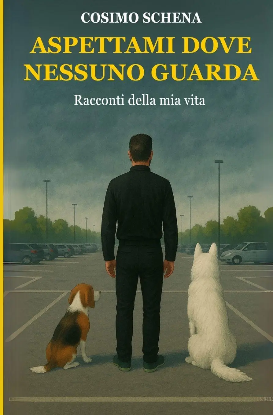 Cover: 9791221098945 | Aspettami dove nessuno guarda | Cosimo Schena | Taschenbuch | 2025