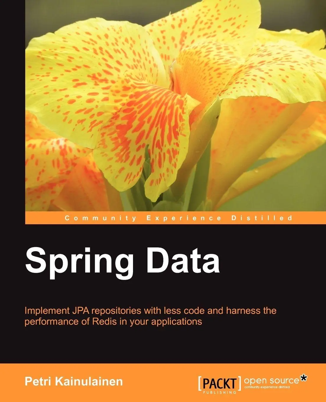 Cover: 9781849519045 | Spring Data | Petri Kainulainen | Taschenbuch | Englisch | 2012