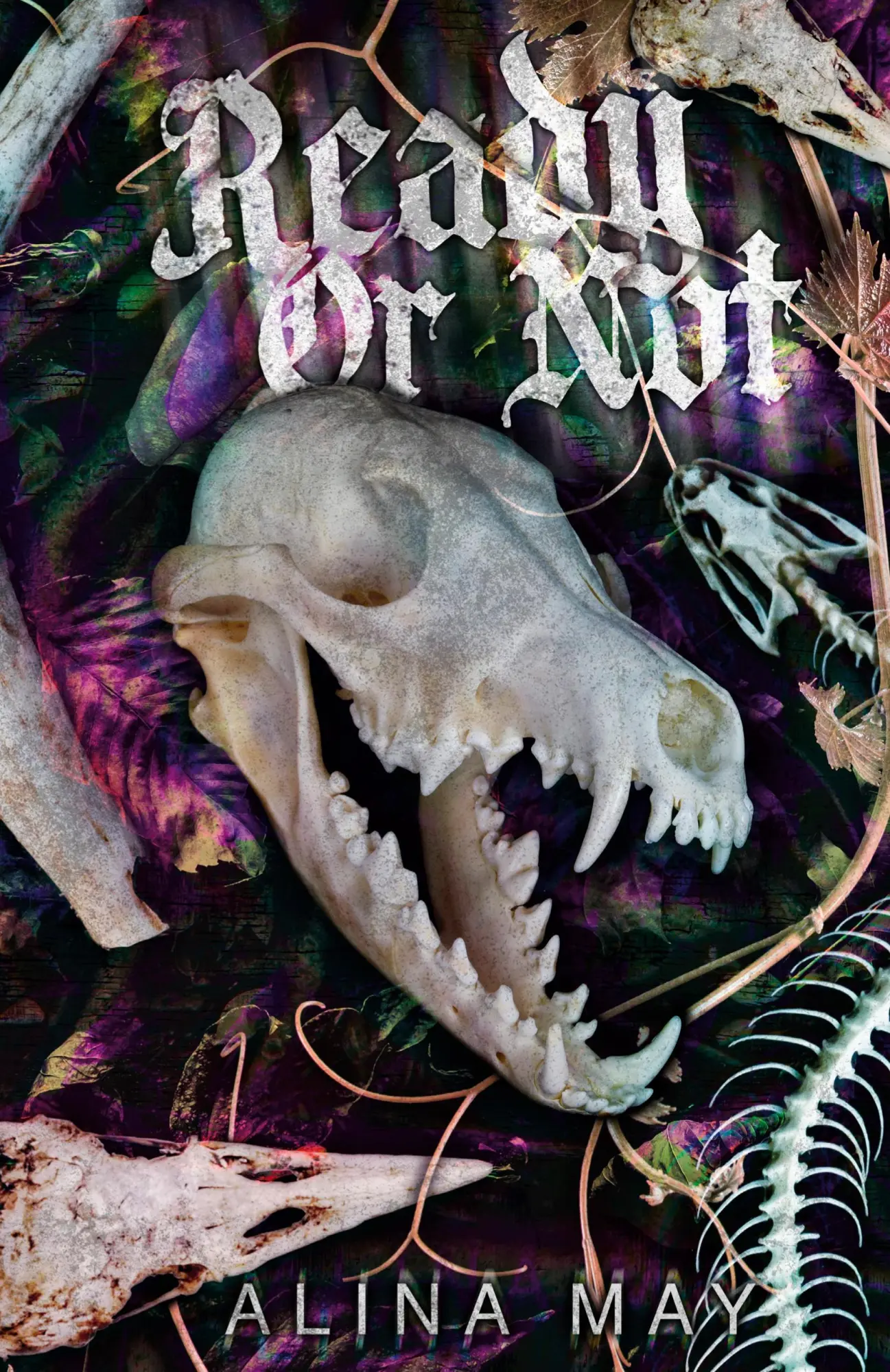 Cover: 9781964979045 | Ready or Not | Alina May | Buch | Englisch | 2024 | Alina May Books