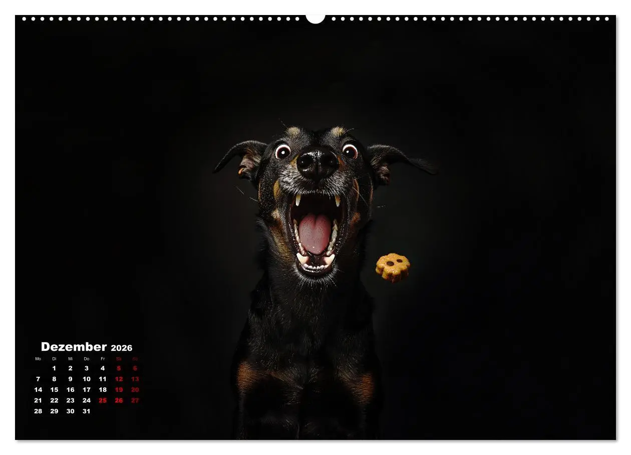 Bild: 9783457349045 | Leckerchen! (hochwertiger Premium Wandkalender 2026 DIN A2 quer),...