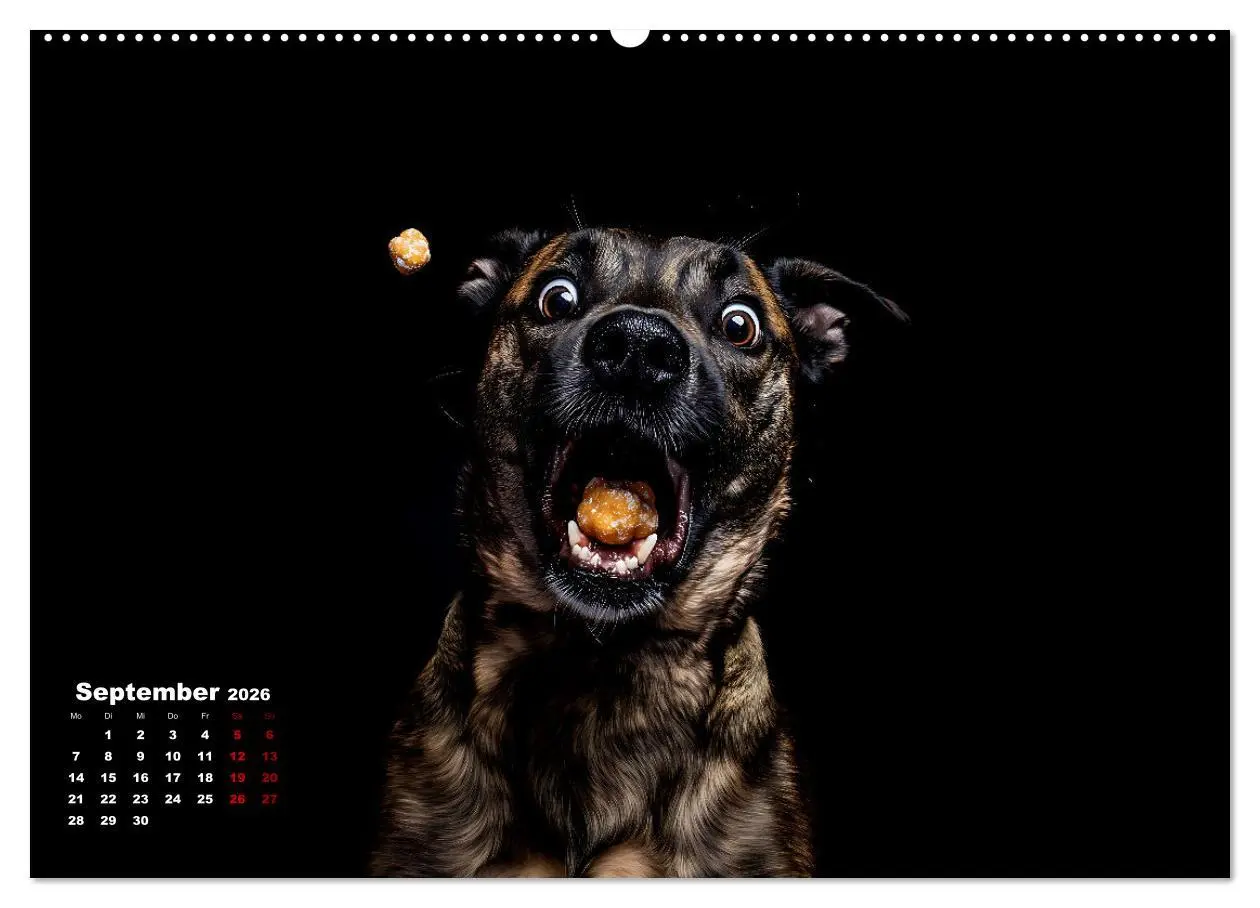 Bild: 9783457349045 | Leckerchen! (hochwertiger Premium Wandkalender 2026 DIN A2 quer),...