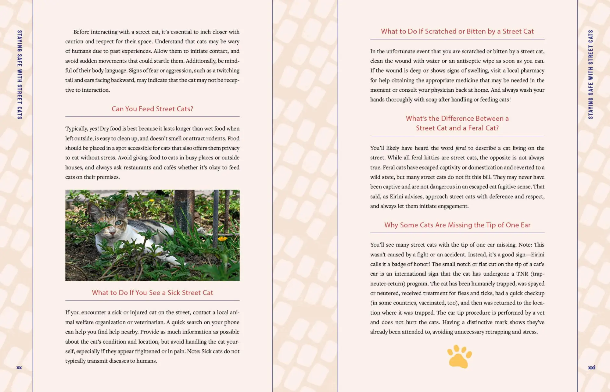 Bild: 9780762489145 | Street Cats &amp; Where to Find Them | Jeff Bogle | Buch | Gebunden | 2025