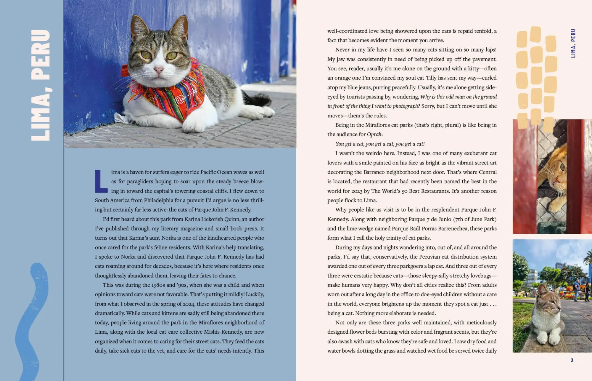 Bild: 9780762489145 | Street Cats &amp; Where to Find Them | Jeff Bogle | Buch | Gebunden | 2025