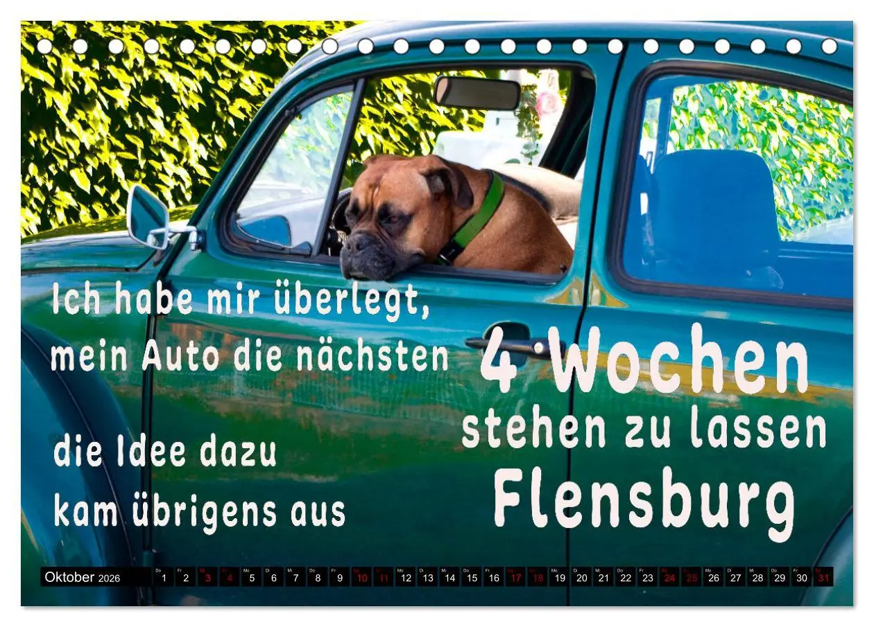 Bild: 9783457649145 | Spruchreif - Gute-Laune-Kalender (Tischkalender 2026 DIN A5 quer),...