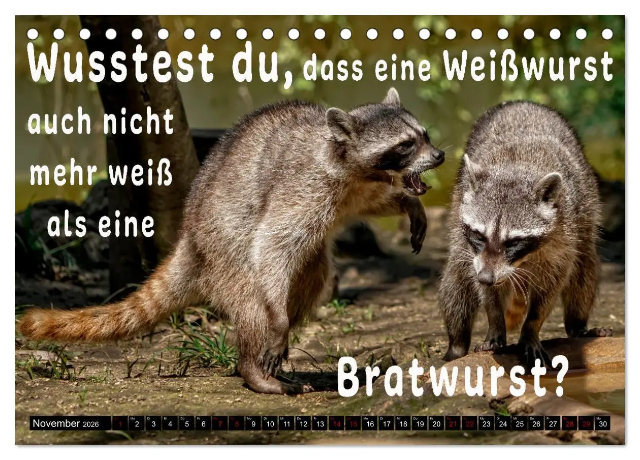 Bild: 9783457649145 | Spruchreif - Gute-Laune-Kalender (Tischkalender 2026 DIN A5 quer),...