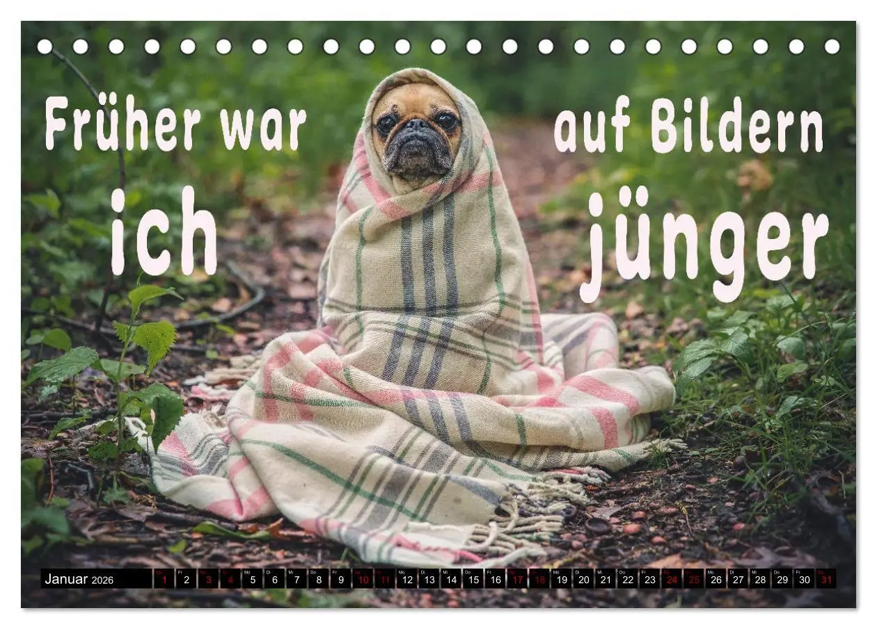 Bild: 9783457649145 | Spruchreif - Gute-Laune-Kalender (Tischkalender 2026 DIN A5 quer),...