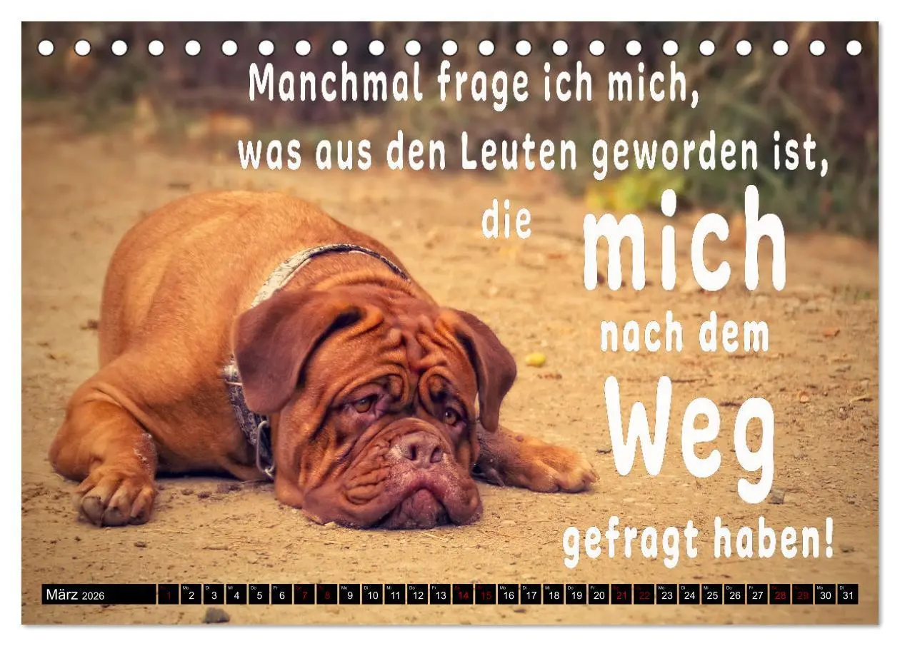 Bild: 9783457649145 | Spruchreif - Gute-Laune-Kalender (Tischkalender 2026 DIN A5 quer),...