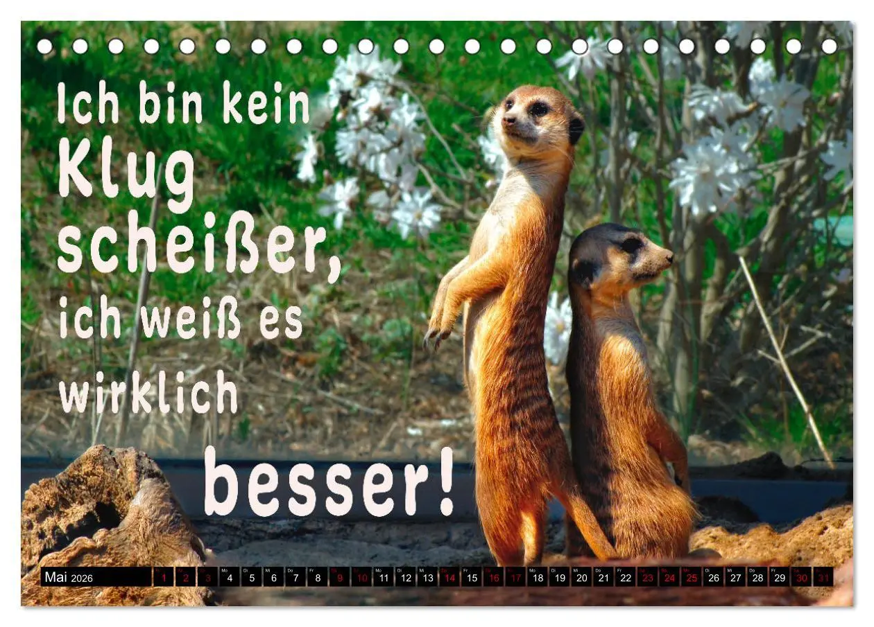 Bild: 9783457649145 | Spruchreif - Gute-Laune-Kalender (Tischkalender 2026 DIN A5 quer),...