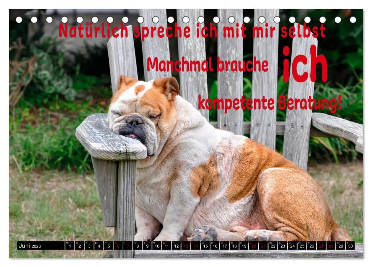 Bild: 9783457649145 | Spruchreif - Gute-Laune-Kalender (Tischkalender 2026 DIN A5 quer),...