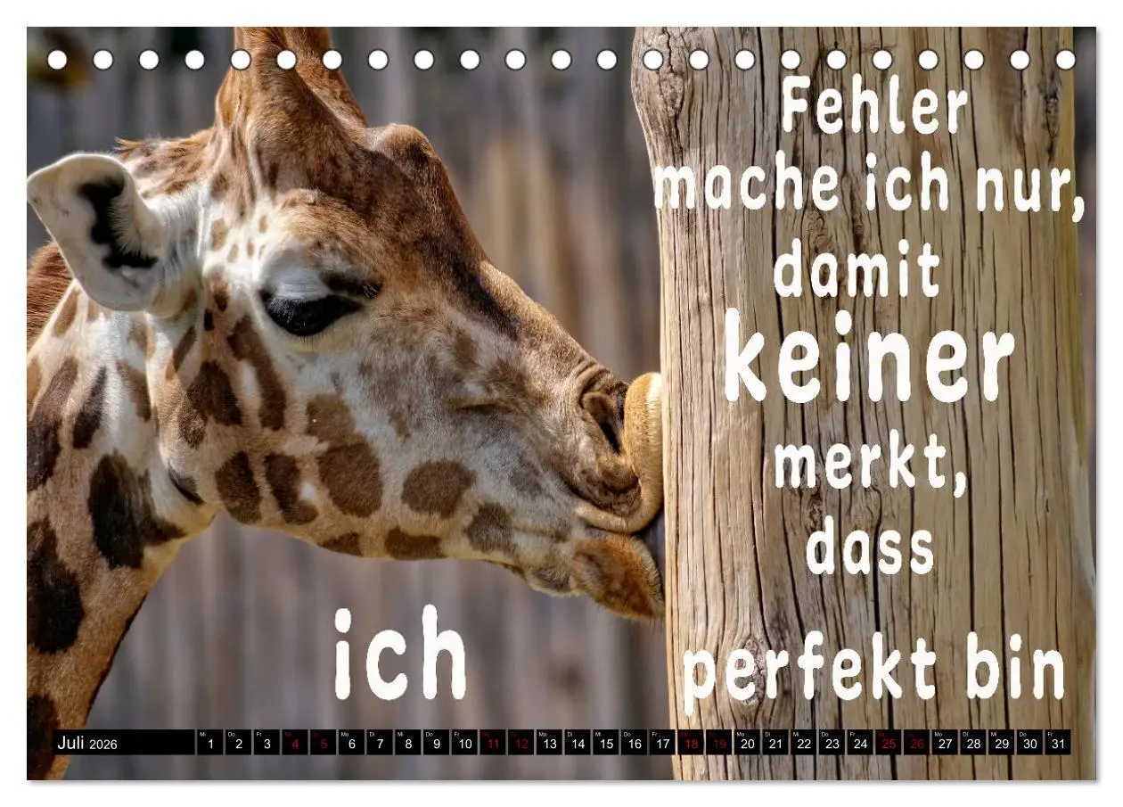 Bild: 9783457649145 | Spruchreif - Gute-Laune-Kalender (Tischkalender 2026 DIN A5 quer),...