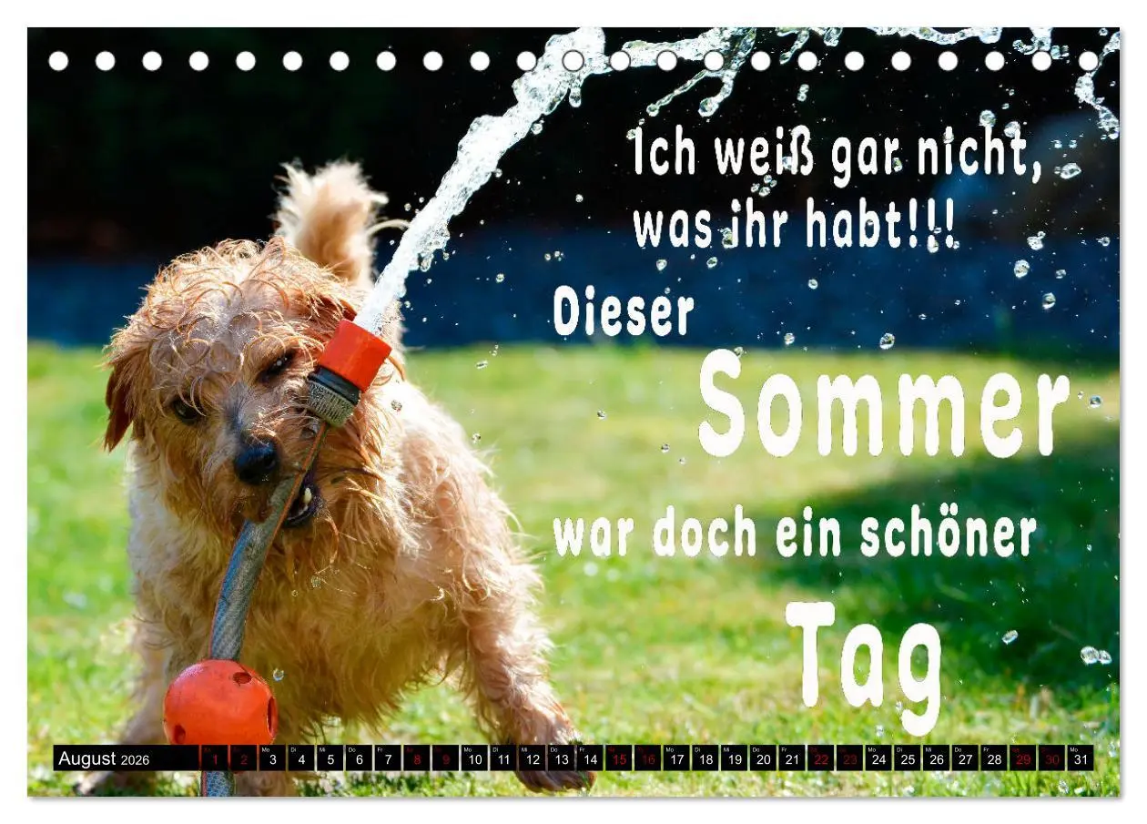 Bild: 9783457649145 | Spruchreif - Gute-Laune-Kalender (Tischkalender 2026 DIN A5 quer),...