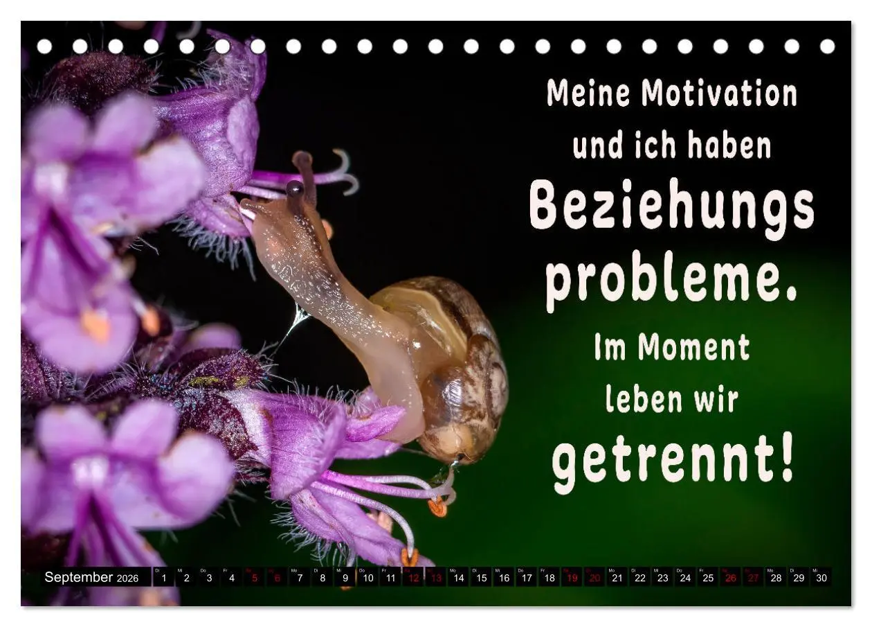 Bild: 9783457649145 | Spruchreif - Gute-Laune-Kalender (Tischkalender 2026 DIN A5 quer),...