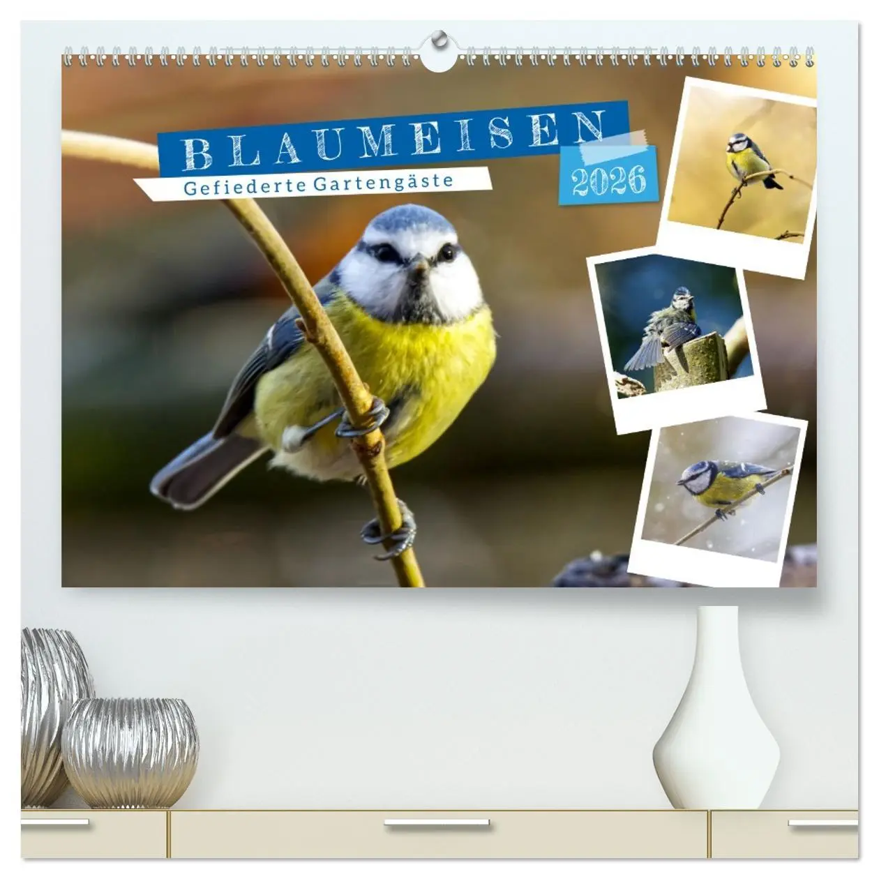 Cover: 9783457719145 | Gefiederte Gartengäste, Blaumeisen (hochwertiger Premium...