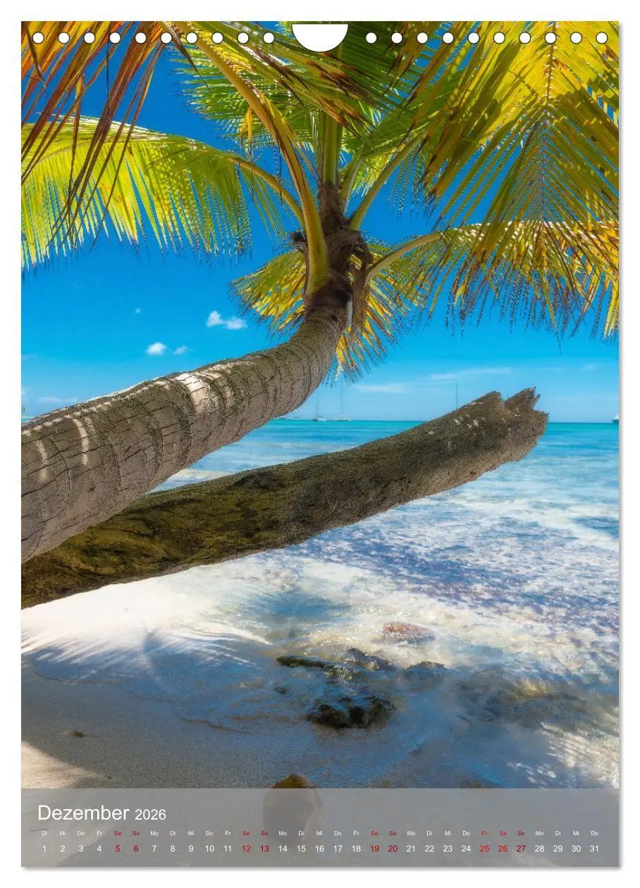 Bild: 9783516359145 | Karibischer Traum Isla Saona (Wandkalender 2026 DIN A4 hoch),...