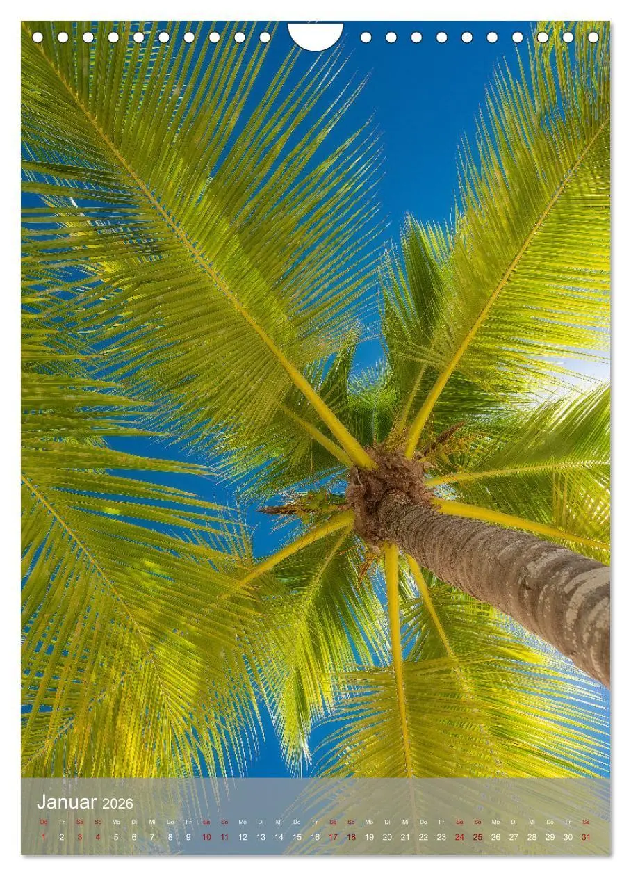 Bild: 9783516359145 | Karibischer Traum Isla Saona (Wandkalender 2026 DIN A4 hoch),...