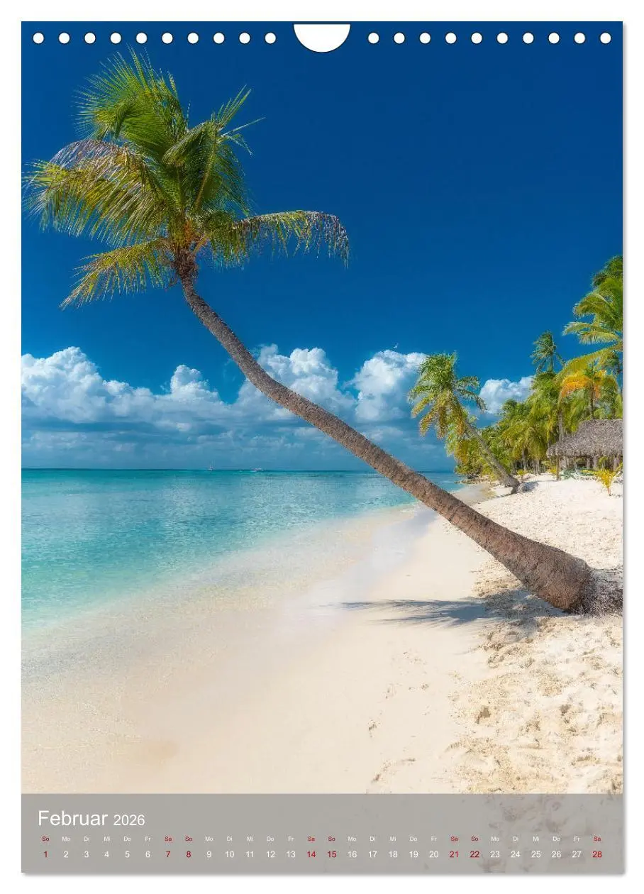 Bild: 9783516359145 | Karibischer Traum Isla Saona (Wandkalender 2026 DIN A4 hoch),...