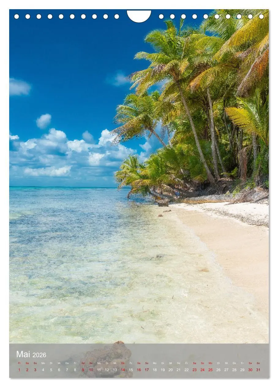 Bild: 9783516359145 | Karibischer Traum Isla Saona (Wandkalender 2026 DIN A4 hoch),...