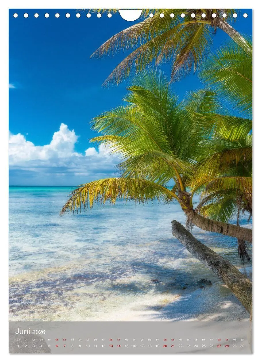 Bild: 9783516359145 | Karibischer Traum Isla Saona (Wandkalender 2026 DIN A4 hoch),...