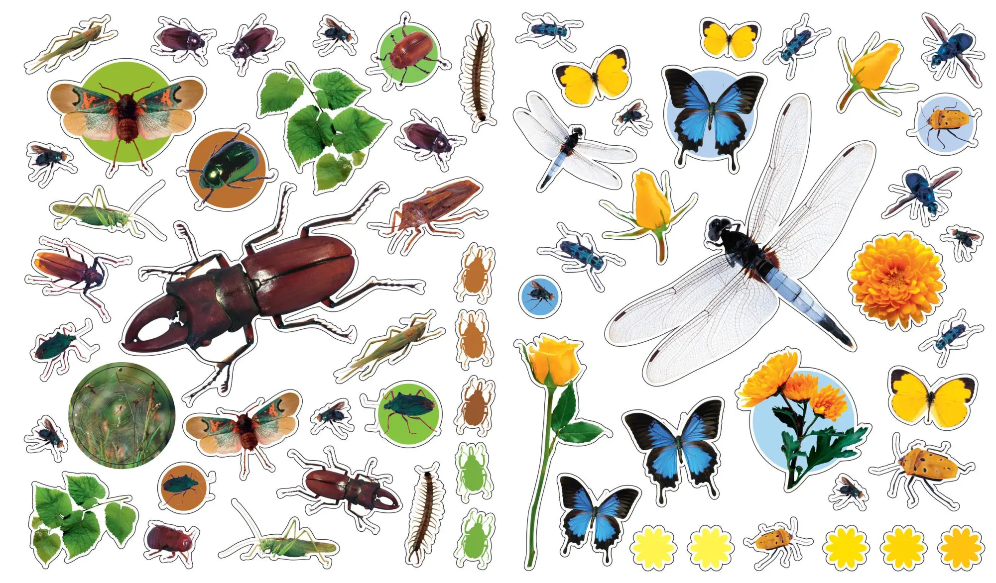 Bild: 9780761169345 | Eyelike Stickers: Bugs | Workman Publishing | Taschenbuch | Englisch