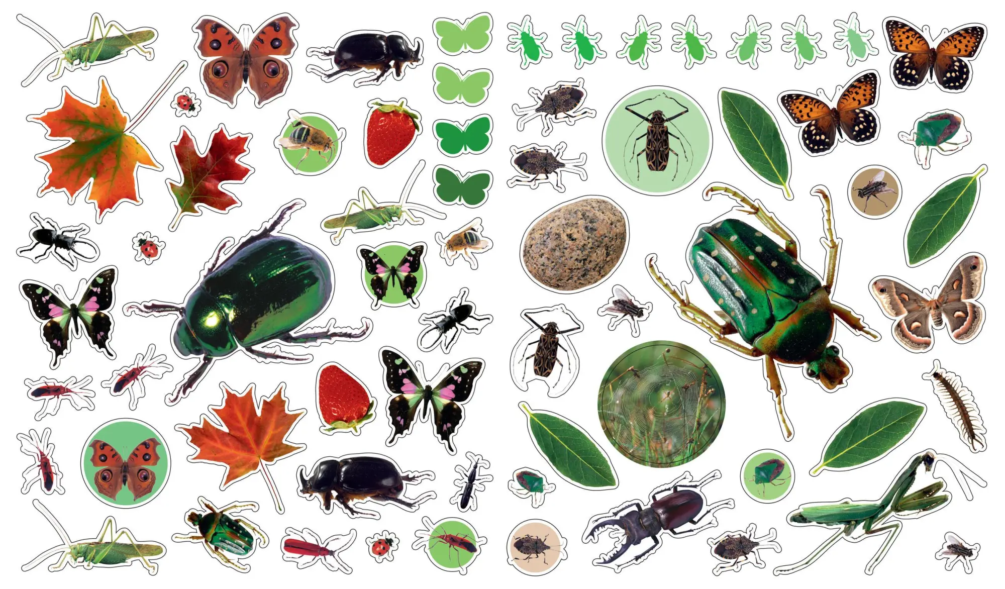 Bild: 9780761169345 | Eyelike Stickers: Bugs | Workman Publishing | Taschenbuch | Englisch