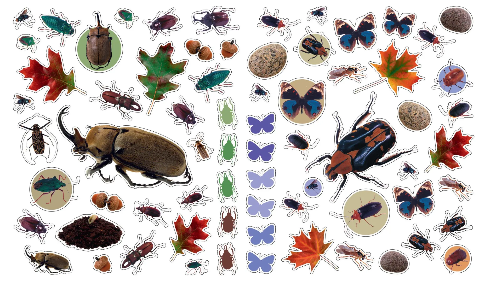 Bild: 9780761169345 | Eyelike Stickers: Bugs | Workman Publishing | Taschenbuch | Englisch