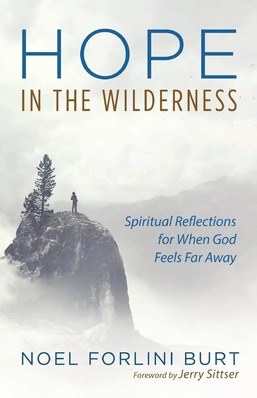 Cover: 9781532689345 | Hope in the Wilderness | Noel Forlini Burt | Taschenbuch | Englisch