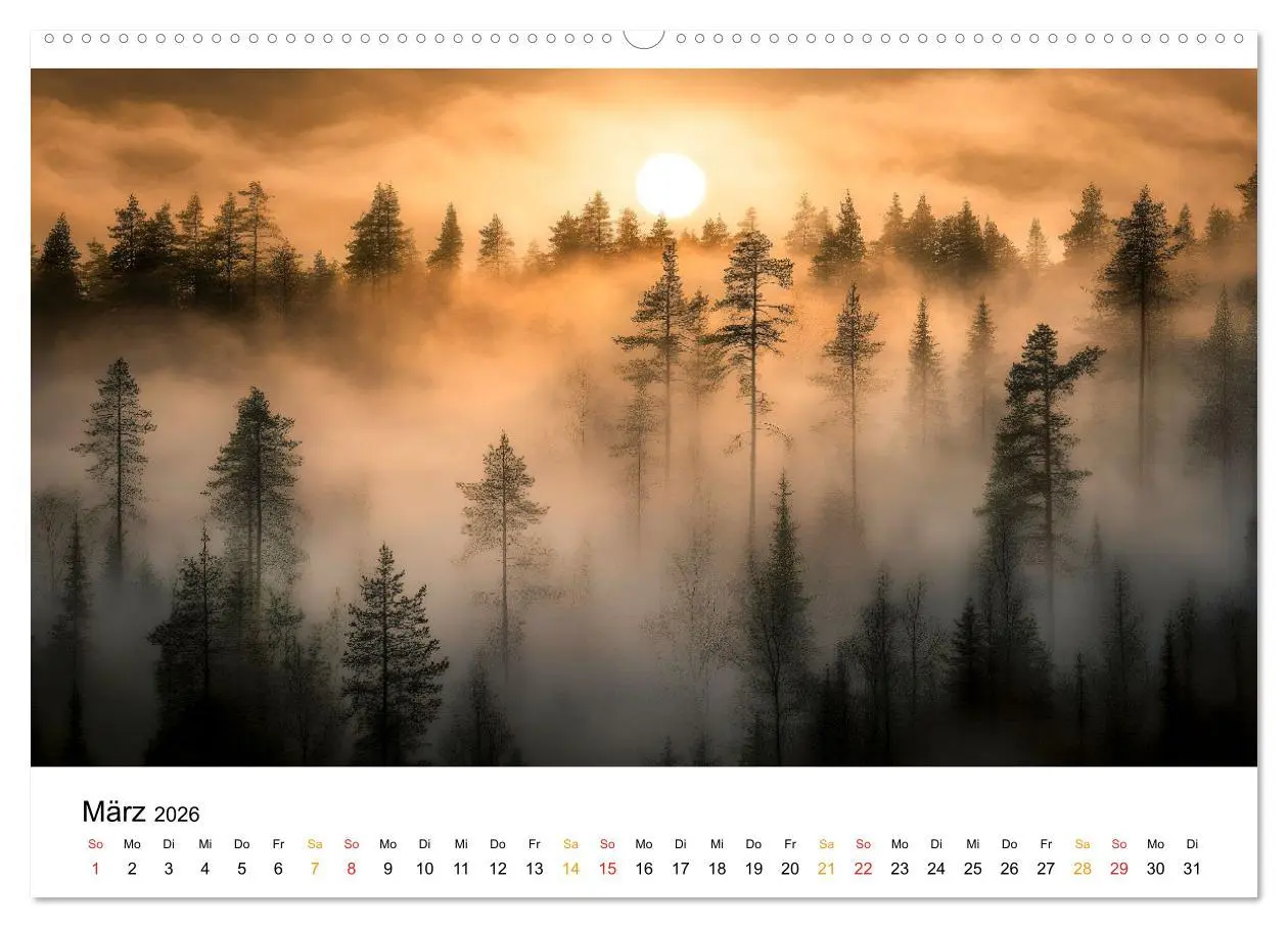 Bild: 9783457319345 | Mystischer Nebel (Wandkalender 2026 DIN A2 quer), CALVENDO...