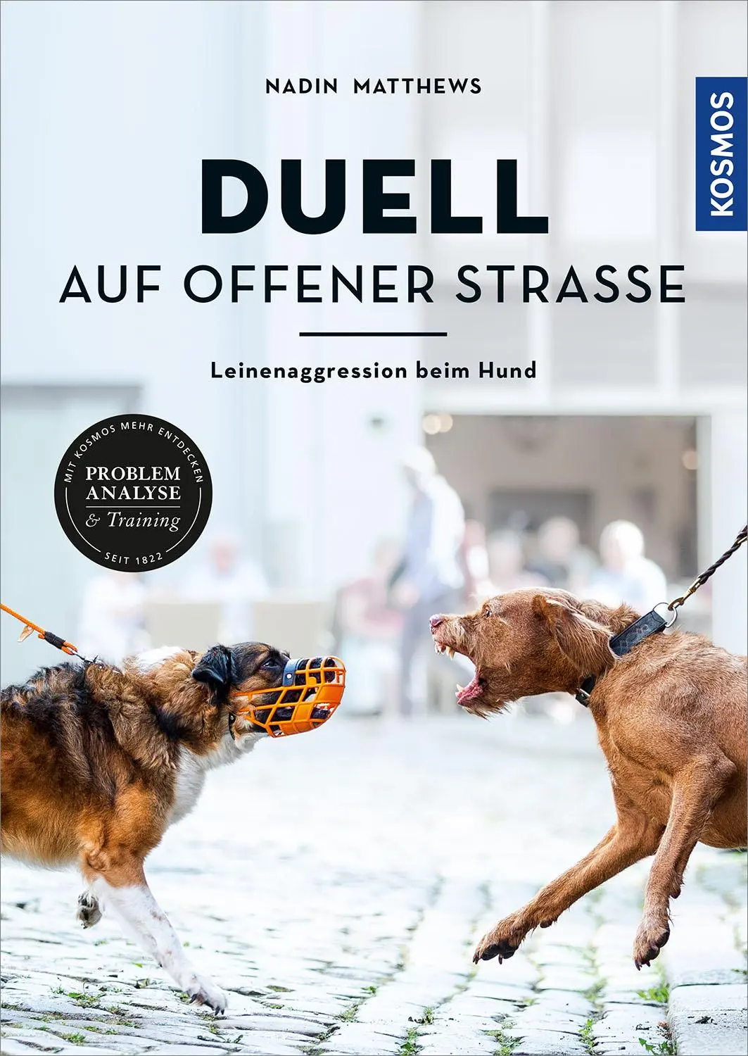 Cover: 9783440169445 | Duell auf offener Straße | Nadin Matthews | Buch | 176 S. | Deutsch