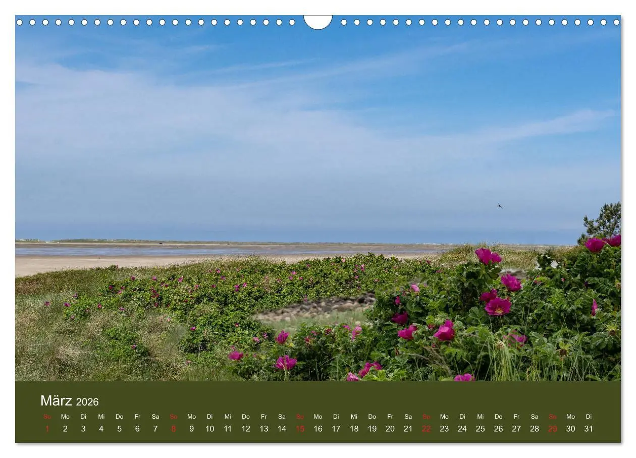 Bild: 9783457789445 | Römö - Wasser, Wind und endloser Strand (Wandkalender 2026 DIN A3...