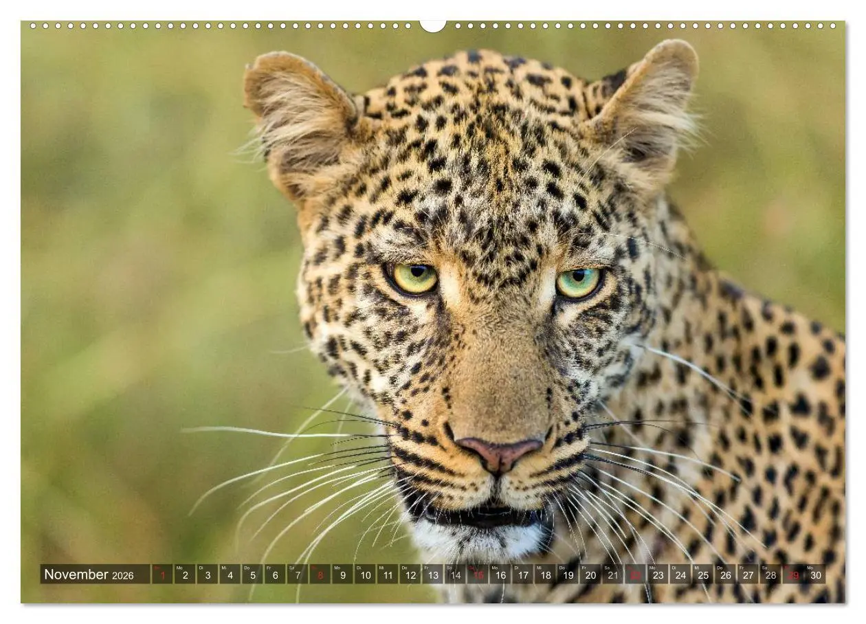 Bild: 9783516019445 | Ostafrika (hochwertiger Premium Wandkalender 2026 DIN A2 quer),...