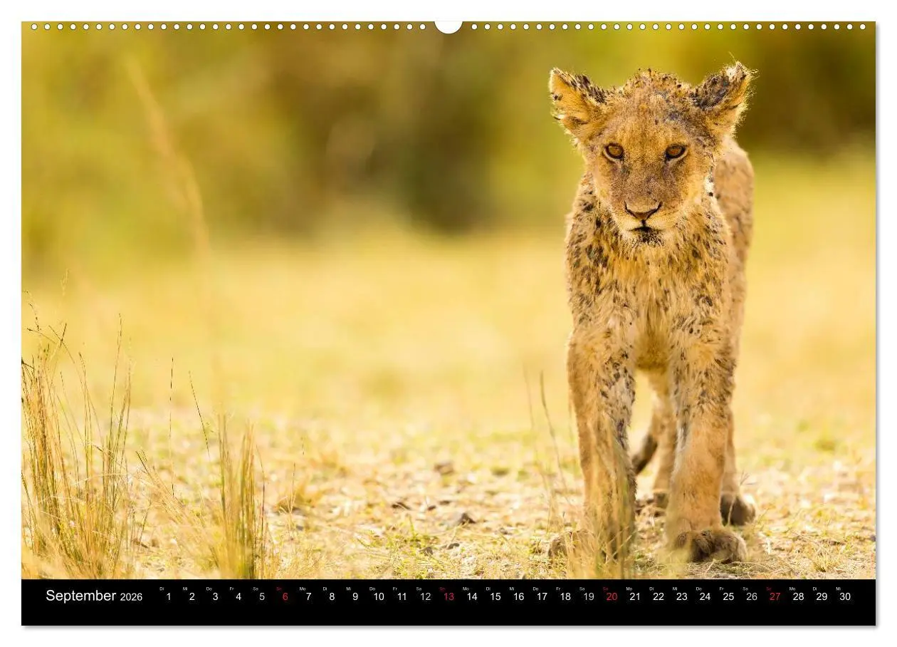 Bild: 9783516019445 | Ostafrika (hochwertiger Premium Wandkalender 2026 DIN A2 quer),...