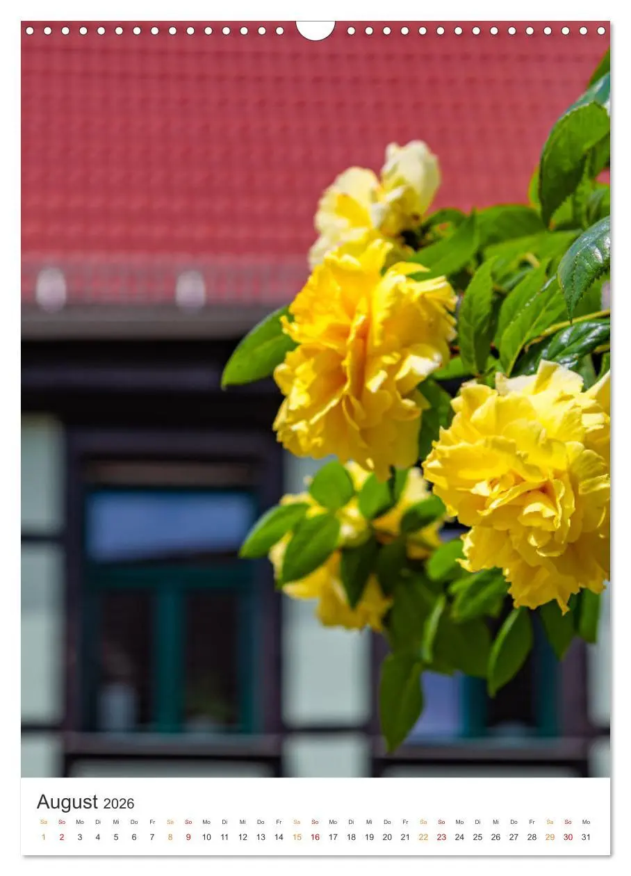 Bild: 9783516329445 | Die Stadt Sangerhausen (Wandkalender 2026 DIN A3 hoch), CALVENDO...