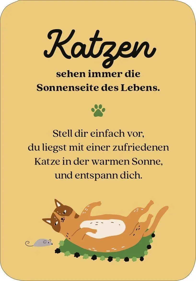 Bild: 9783845869445 | MIEZNachrichten für jede Lebenslage | 50 Karten für dich | Taschenbuch
